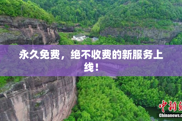永久免费，绝不收费的新服务上线！