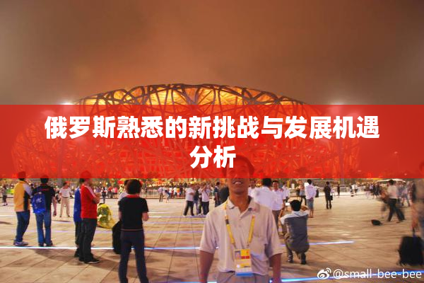 俄罗斯熟悉的新挑战与发展机遇分析