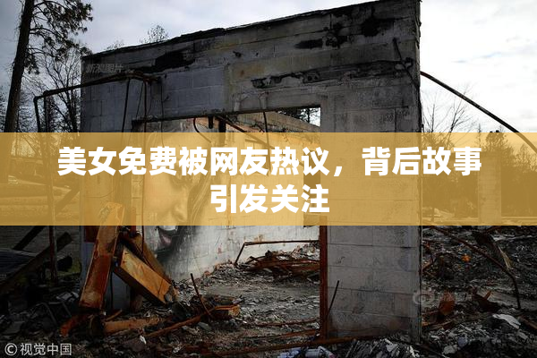 美女免费被网友热议，背后故事引发关注
