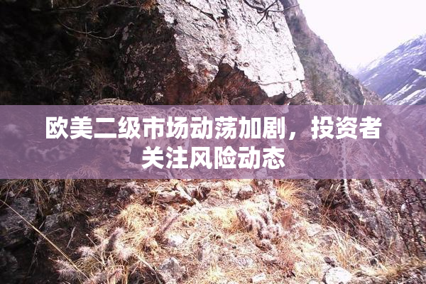 欧美二级市场动荡加剧，投资者关注风险动态
