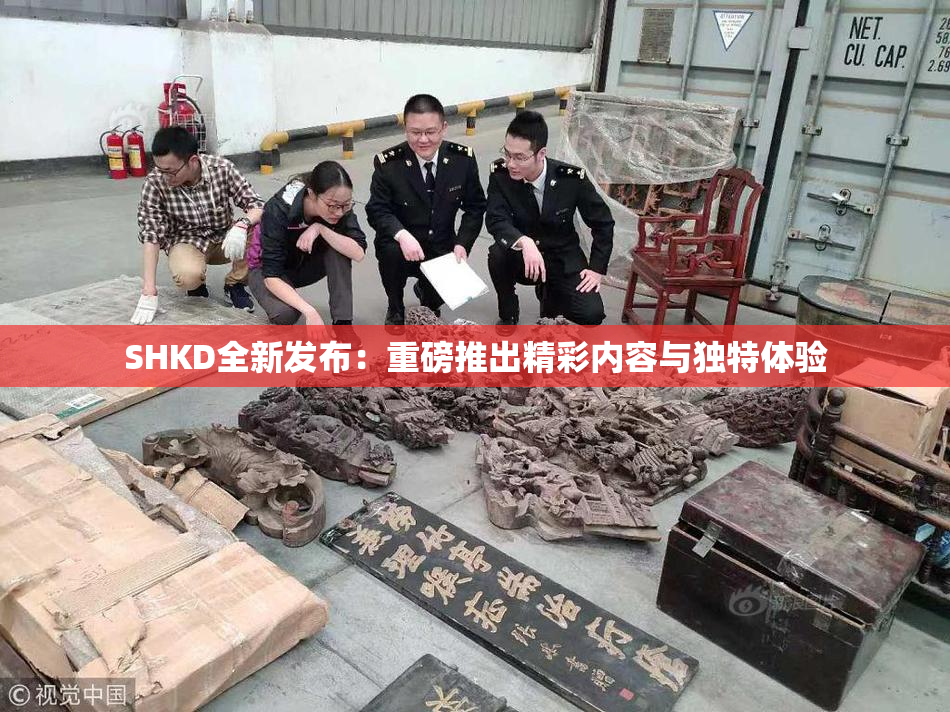 SHKD全新发布：重磅推出精彩内容与独特体验