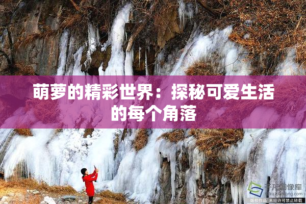 萌萝的精彩世界：探秘可爱生活的每个角落