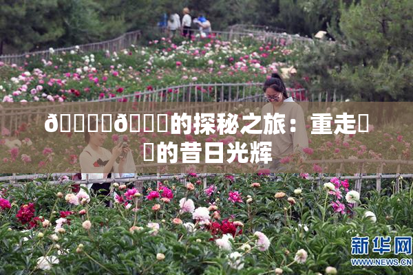 🔞‌🍌的探秘之旅：重走❌‌的昔日光辉