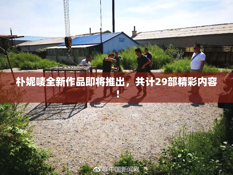 朴妮唛全新作品即将推出，共计29部精彩内容！