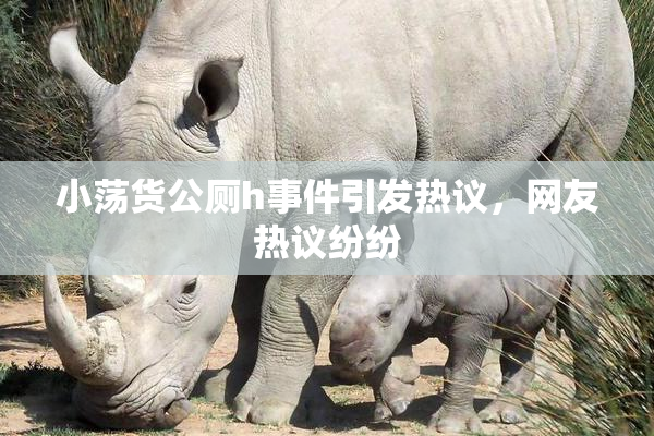 小荡货公厕h事件引发热议，网友热议纷纷