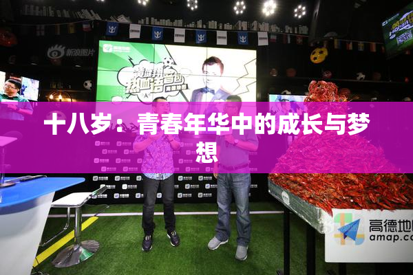 十八岁：青春年华中的成长与梦想