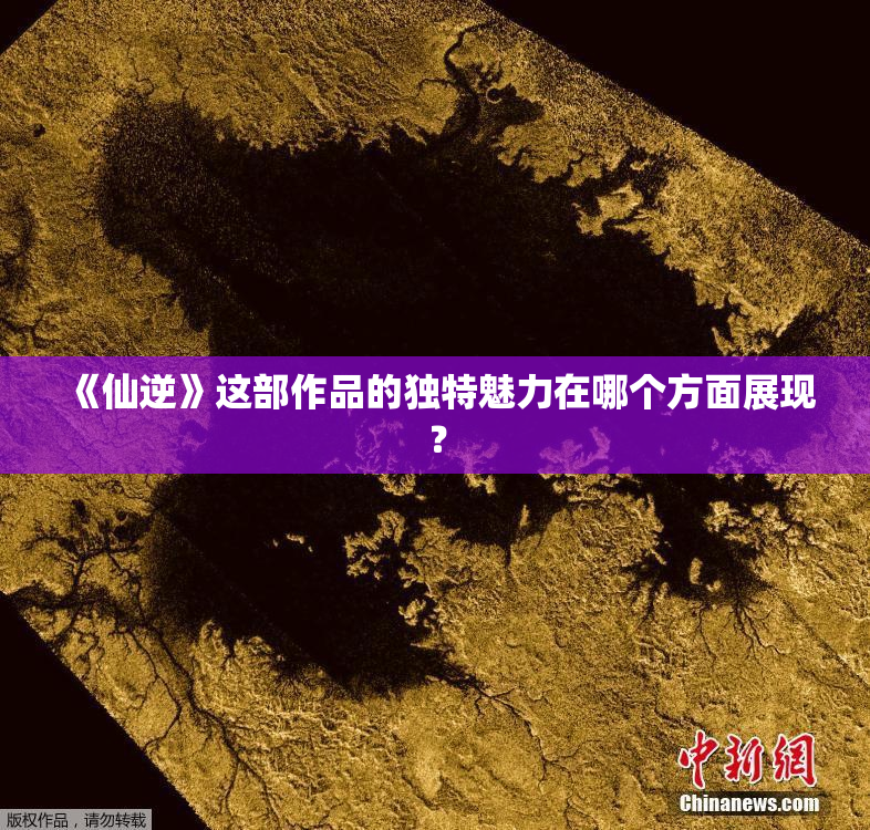 《仙逆》这部作品的独特魅力在哪个方面展现？