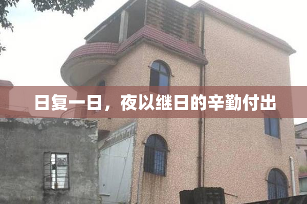 日复一日，夜以继日的辛勤付出