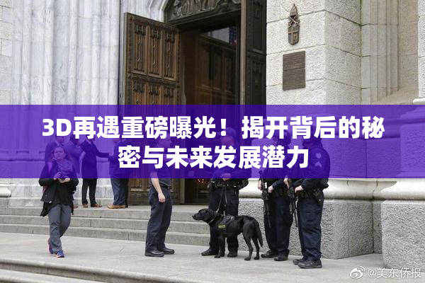 3D再遇重磅曝光！揭开背后的秘密与未来发展潜力