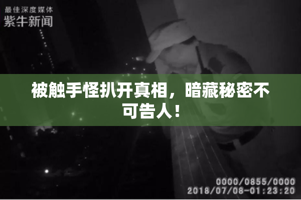 被触手怪扒开真相，暗藏秘密不可告人！