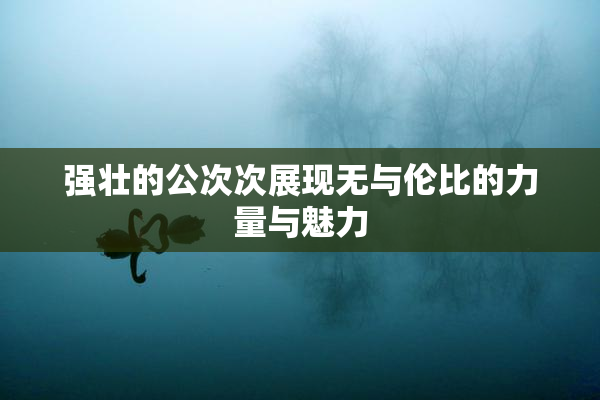 强壮的公次次展现无与伦比的力量与魅力