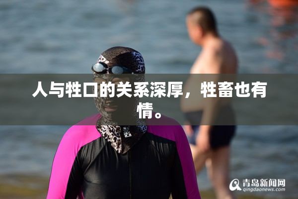 人与牲口的关系深厚，牲畜也有情。