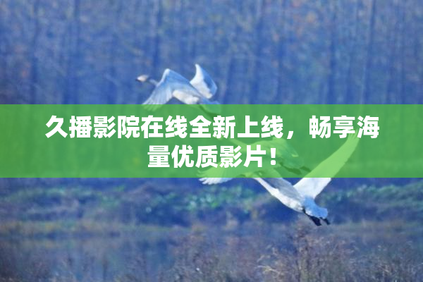 久播影院在线全新上线，畅享海量优质影片！