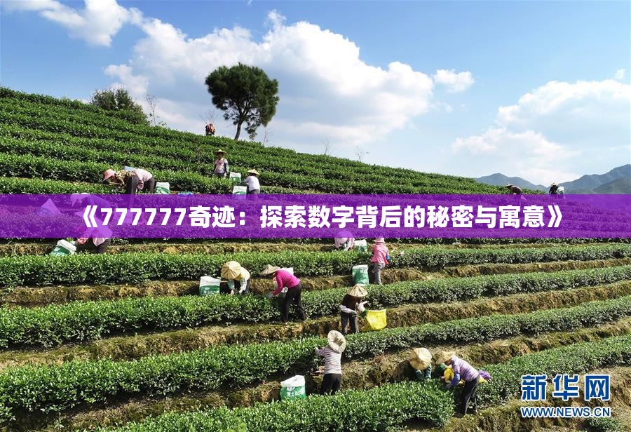 《777777奇迹：探索数字背后的秘密与寓意》