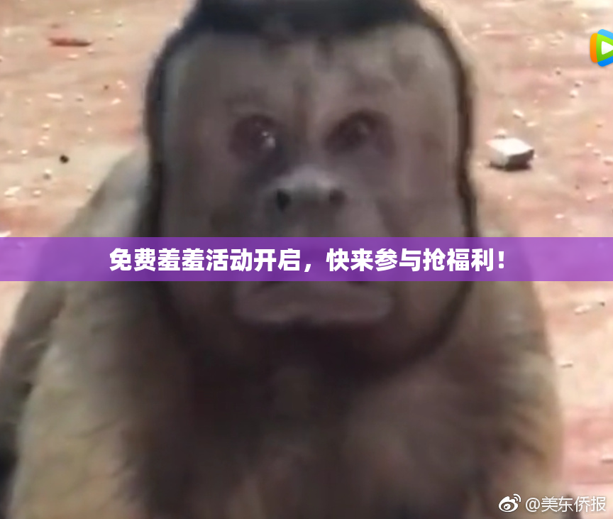 免费羞羞活动开启，快来参与抢福利！
