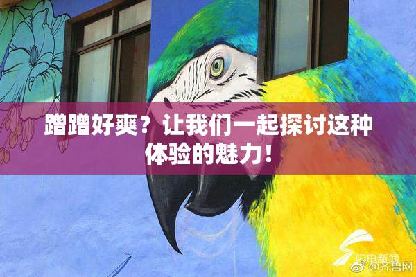 蹭蹭好爽？让我们一起探讨这种体验的魅力！