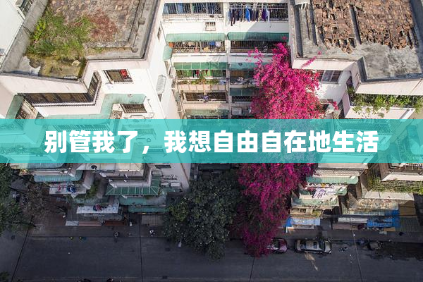 别管我了，我想自由自在地生活