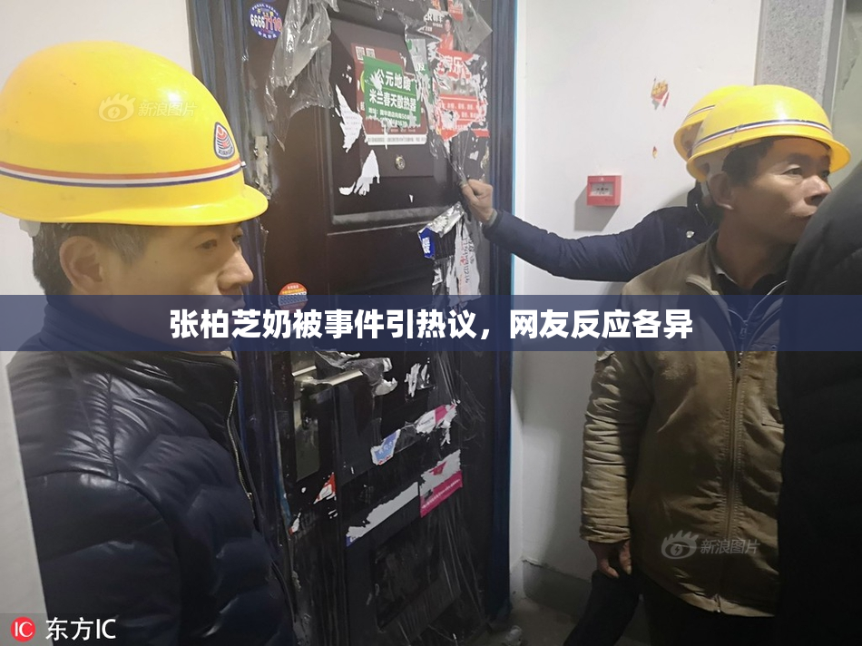 张柏芝奶被事件引热议，网友反应各异