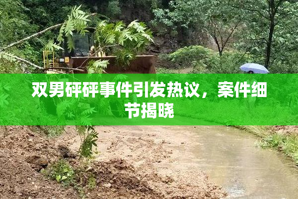 双男砰砰事件引发热议，案件细节揭晓