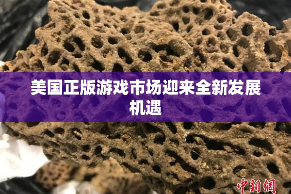 美国正版游戏市场迎来全新发展机遇