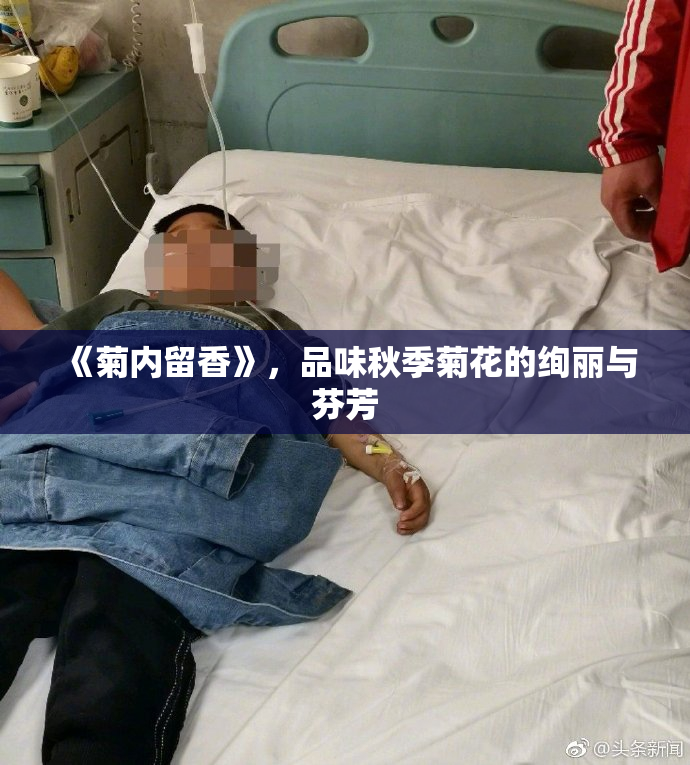 《菊内留香》，品味秋季菊花的绚丽与芬芳