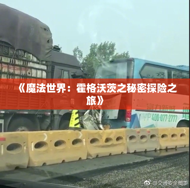 《魔法世界：霍格沃茨之秘密探险之旅》