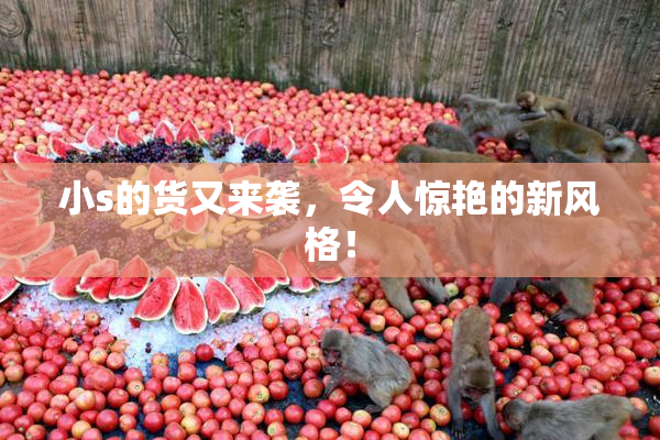 小s的货又来袭，令人惊艳的新风格！