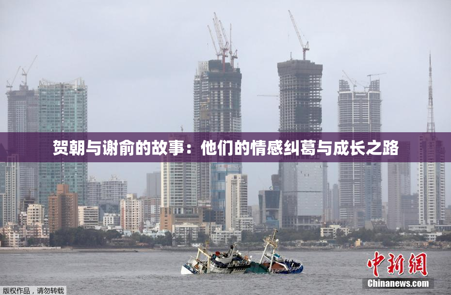 贺朝与谢俞的故事：他们的情感纠葛与成长之路