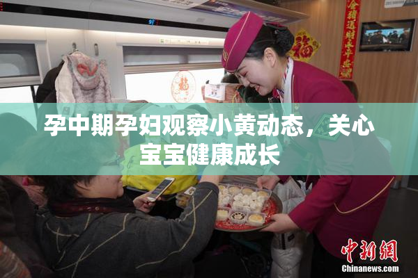 孕中期孕妇观察小黄动态，关心宝宝健康成长