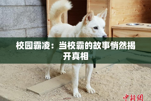 校园霸凌：当校霸的故事悄然揭开真相