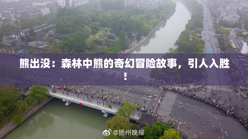 熊出没：森林中熊的奇幻冒险故事，引人入胜！