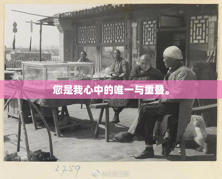您是我心中的唯一与重叠。