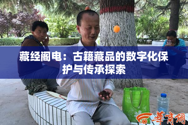 藏经阁电：古籍藏品的数字化保护与传承探索