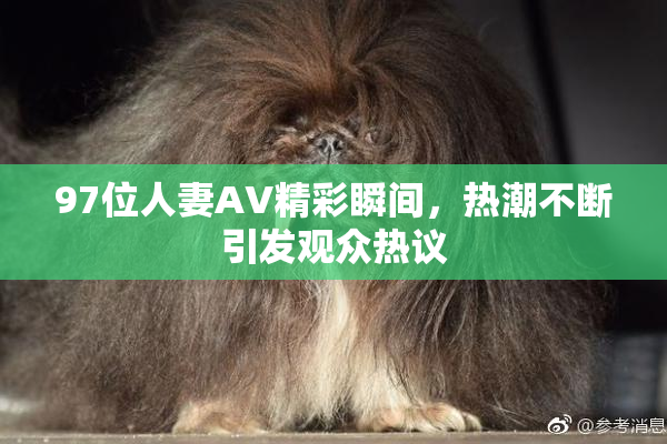 97位人妻AV精彩瞬间，热潮不断引发观众热议