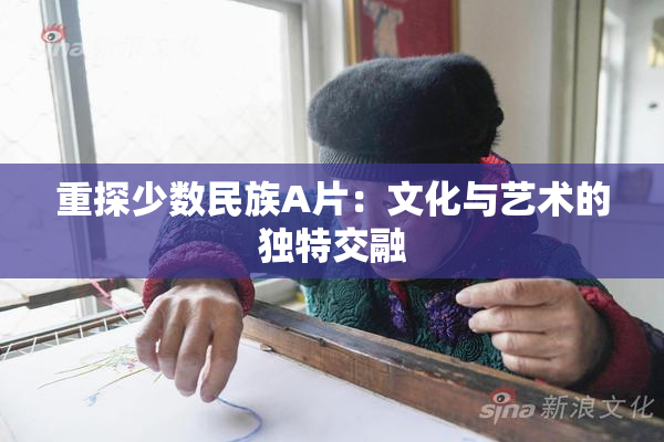 重探少数民族A片：文化与艺术的独特交融