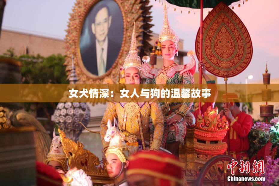 女犬情深：女人与狗的温馨故事