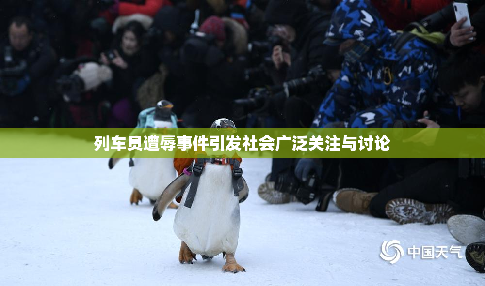 列车员遭辱事件引发社会广泛关注与讨论