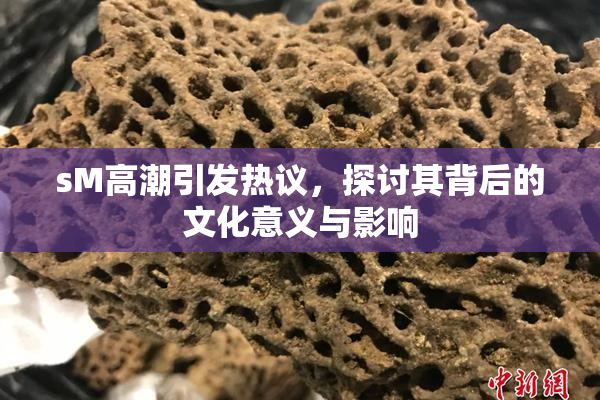 sM高潮引发热议，探讨其背后的文化意义与影响
