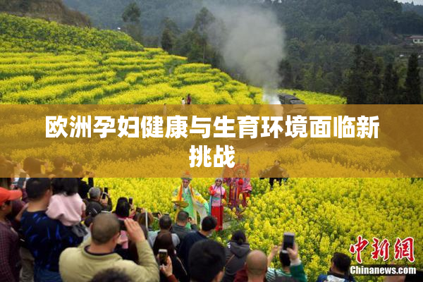 欧洲孕妇健康与生育环境面临新挑战