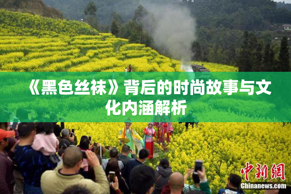 《黑色丝袜》背后的时尚故事与文化内涵解析