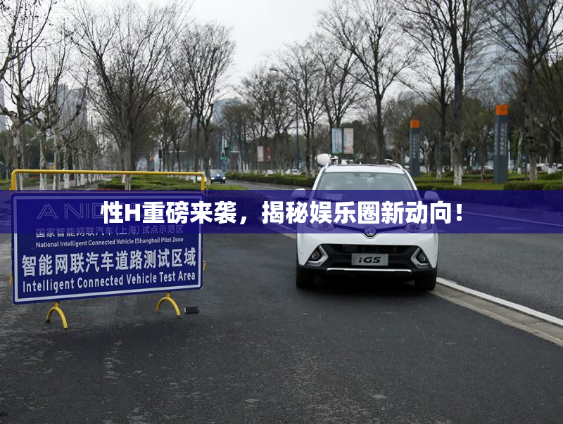 性H重磅来袭，揭秘娱乐圈新动向！
