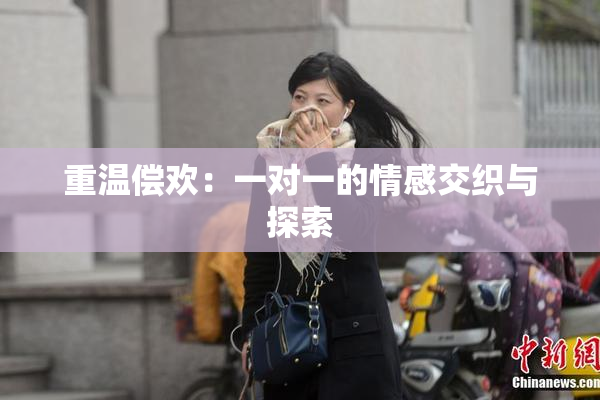 重温偿欢：一对一的情感交织与探索