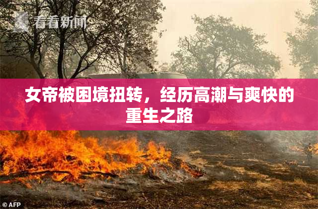 女帝被困境扭转，经历高潮与爽快的重生之路