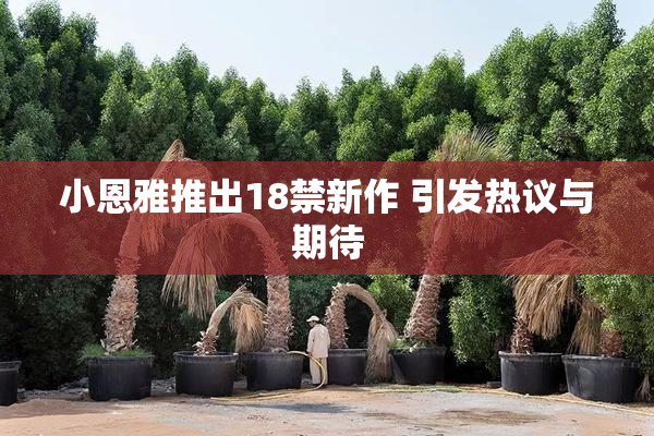 小恩雅推出18禁新作 引发热议与期待
