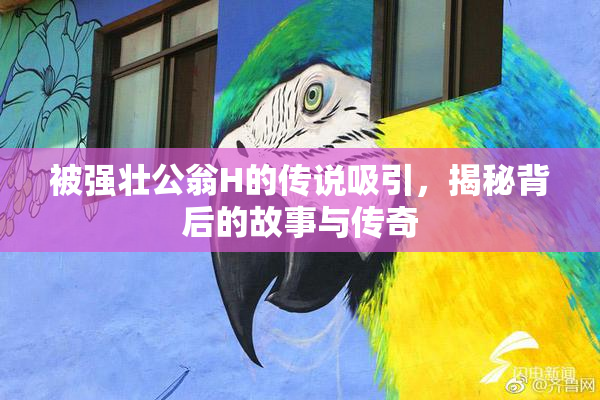 被强壮公翁H的传说吸引，揭秘背后的故事与传奇