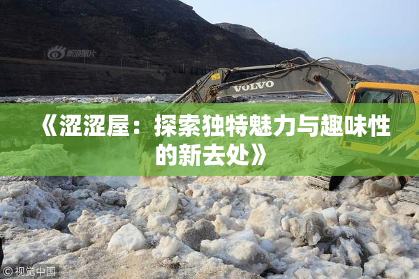 《涩涩屋：探索独特魅力与趣味性的新去处》