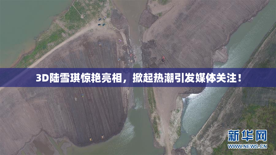 3D陆雪琪惊艳亮相，掀起热潮引发媒体关注！