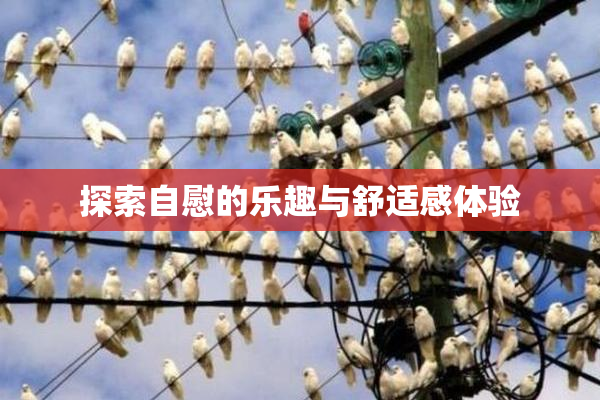 探索自慰的乐趣与舒适感体验