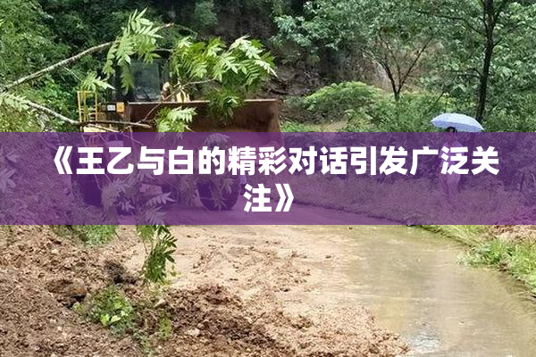 《王乙与白的精彩对话引发广泛关注》