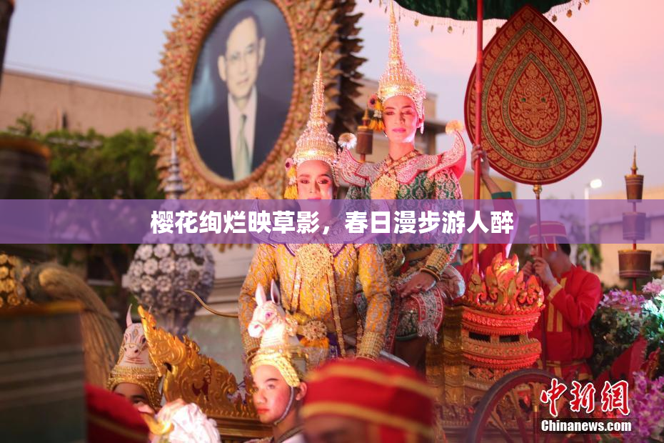 樱花绚烂映草影，春日漫步游人醉